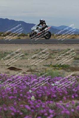 media/Jan-14-2023-SoCal Trackdays (Sat) [[497694156f]]/Turn 14 Exit Bloomig (145pm)/
